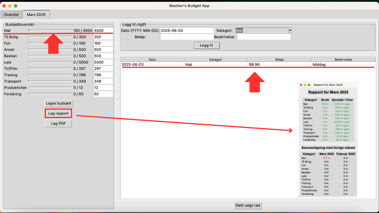 Budget App Screenshot 3